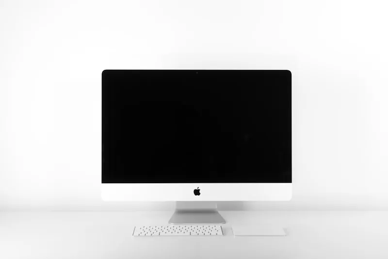 Professional monitor setup